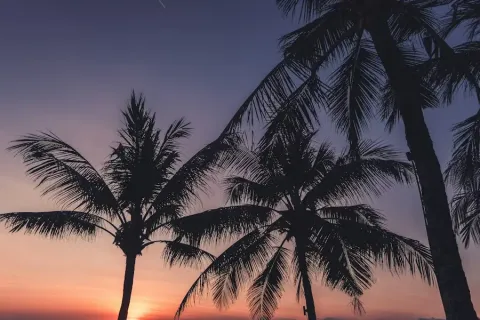 Photo by shawnanggg on Unsplash