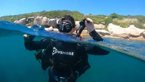Divemore Escola de Mergulho, Florianopolis