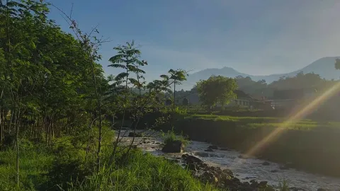 Kawisari Coffee Farm Shop & Eatery Bali, photo 2