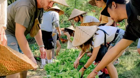 Pemulan Bali Farm Cooking School, Ubud, Taro, Tegallalang