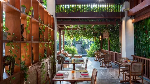 Ely's Kitchen Ubud, photo 4
