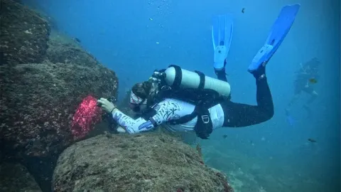 Goa Diving, Goa