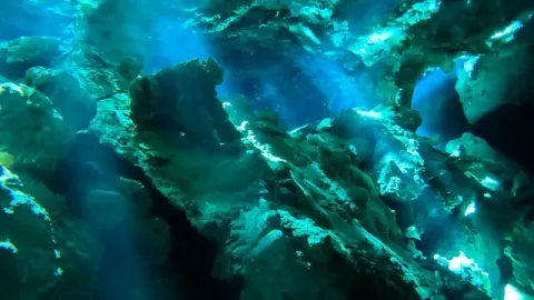 Diving Cenotes Tulum, Tulum