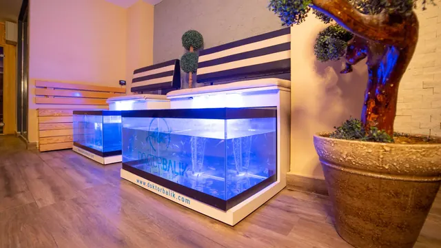 Falez Hamam&Spa, Antalya