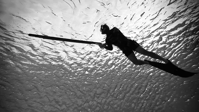 Freediving Africa, Cape Town