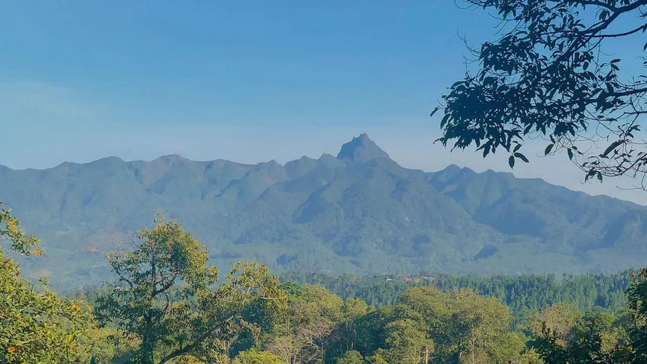 Kawisari Coffee Farm Shop & Eatery Bali, Bali