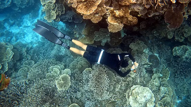 OceanSense Freediving - Gold Coast, Gold Coast