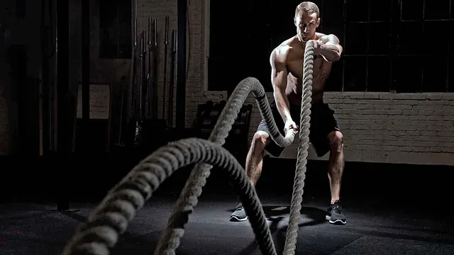 Core Combat Gym Uragan, Split