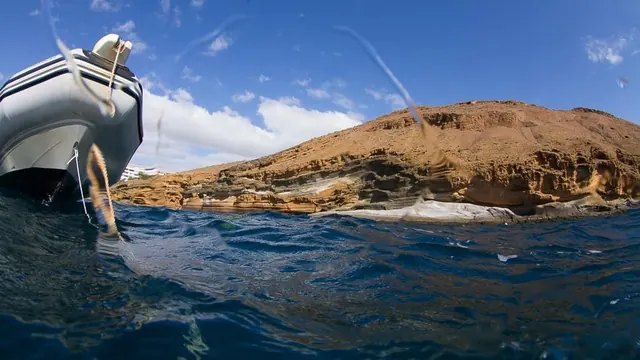 LJ Diving Tenerife, Tenerife